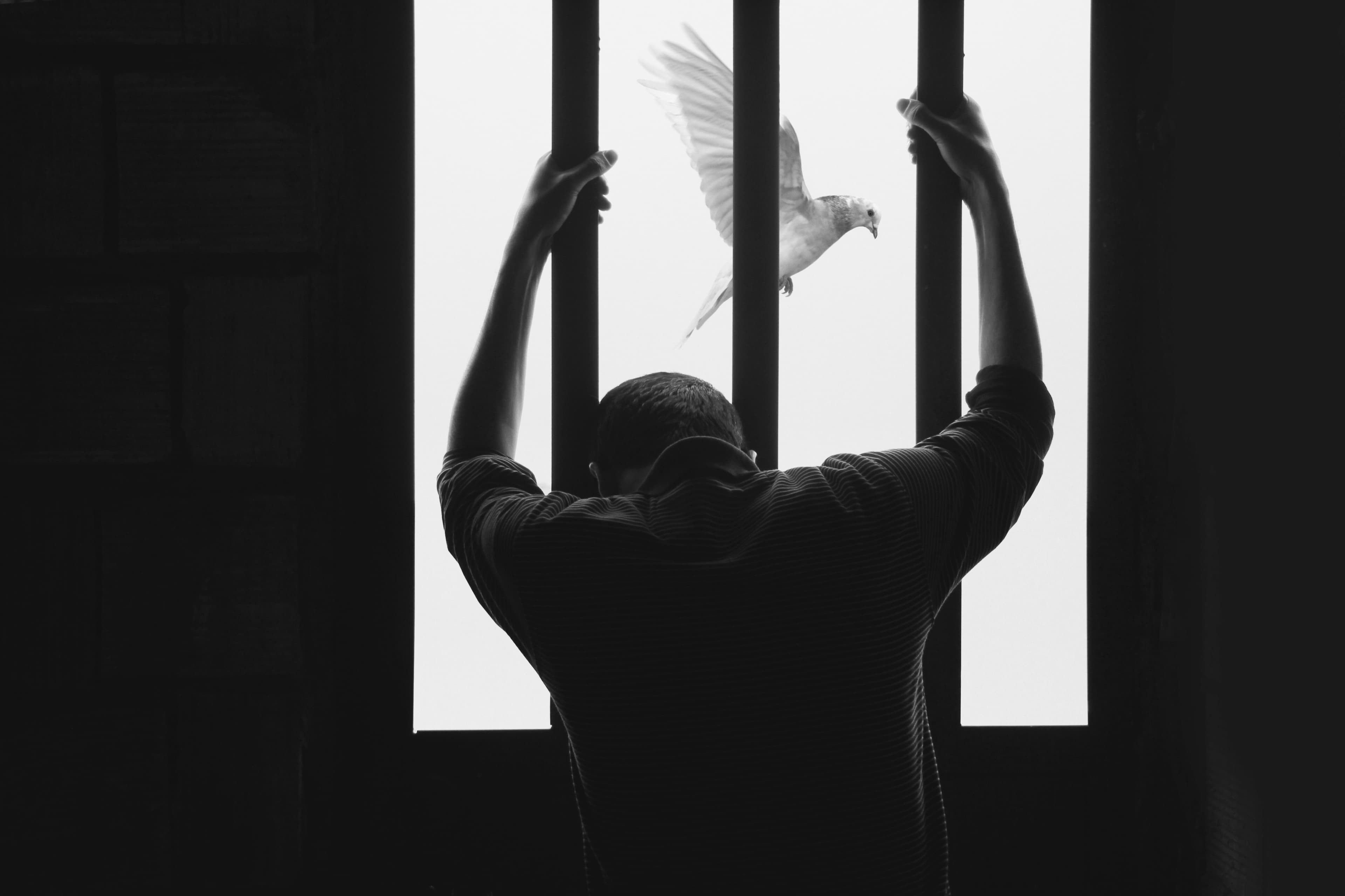 Hands gripping jail bars